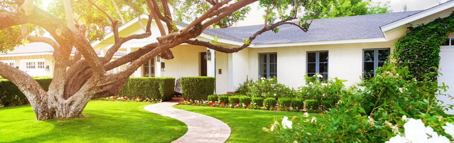 6 uninvited house bugs this summer