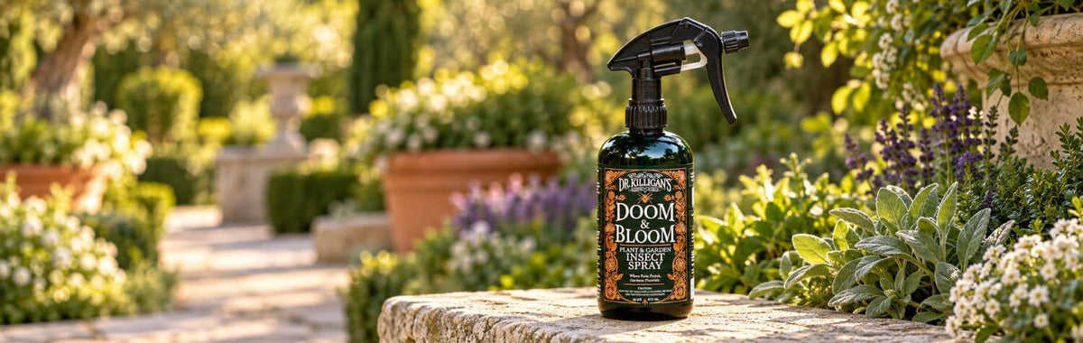 Doom and Bloom