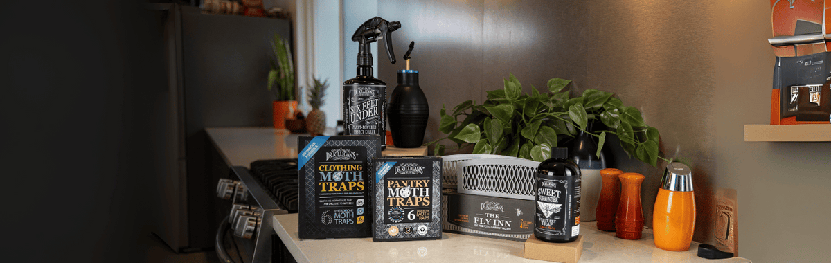 Dr. Killigan's moth traps and pest control products on a kitchen counter