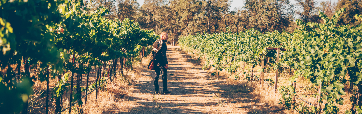 Eco-friendly-pest-management