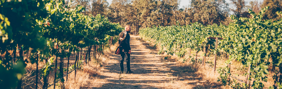 Person walking between vineyard rows, where eco-friendly pest control methods are used