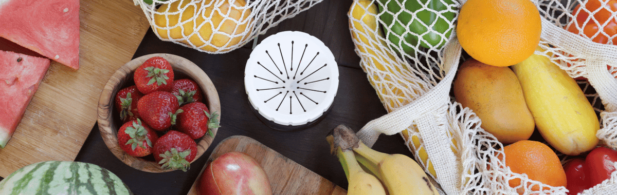 Fruit fly trap surrounded by fresh fruit