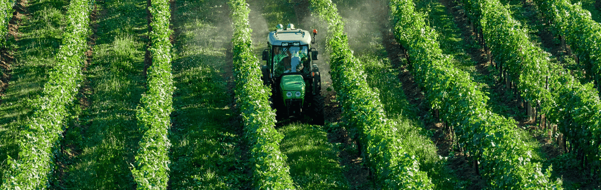 Tractor driving between crop rows, the kind of pesticide use Iowa bill HSB 737 addresses