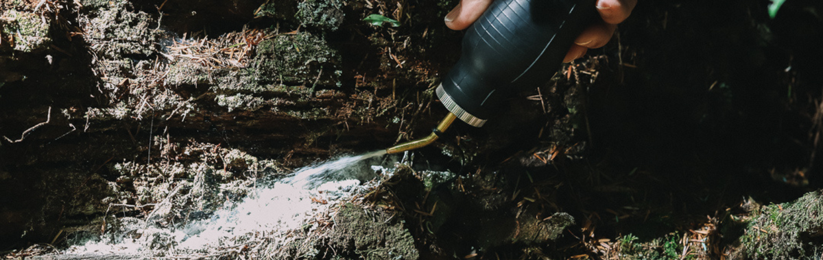 Duster applying powder into tree bark crevices, a sustainable pest control method