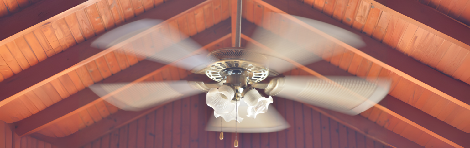 Cluster Flies in Winter: How to Keep Them Out of Attics and Upper Windows