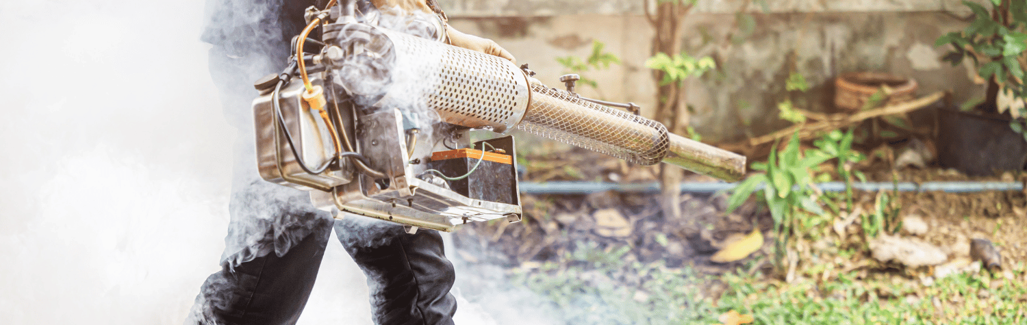 Pest control fog spray