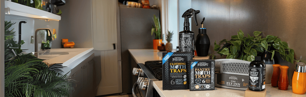 Dr. Killigan's plant-powered insect sprays for non-toxic indoor pest control on a kitchen counter