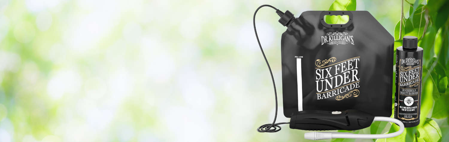 Six Feet Under: Barricade