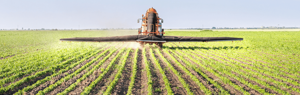 Spraying pesticide
