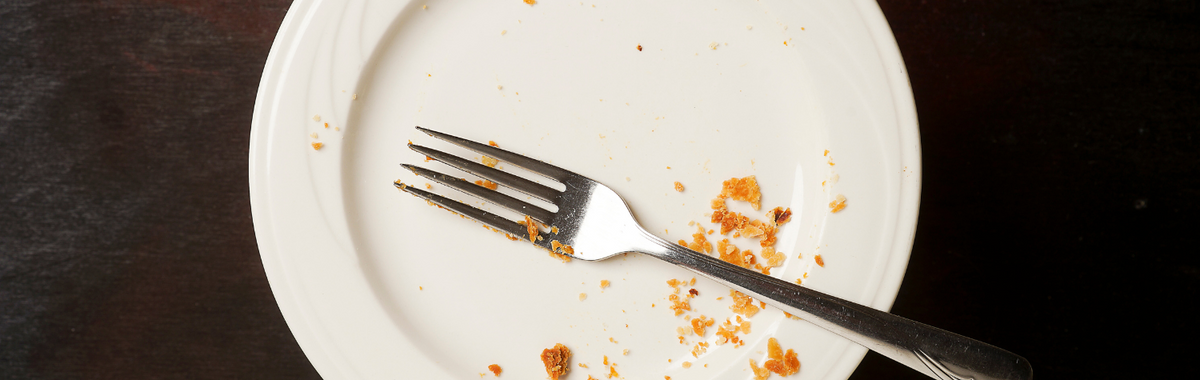 Empty plate with crumbs, the kind of food scraps cockroaches eat