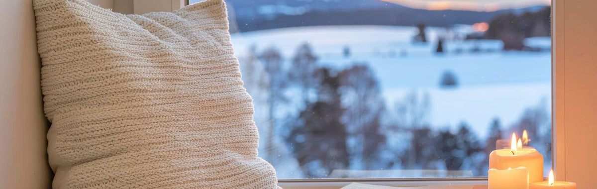 Window view of a snowy landscape, the season earwigs move indoors