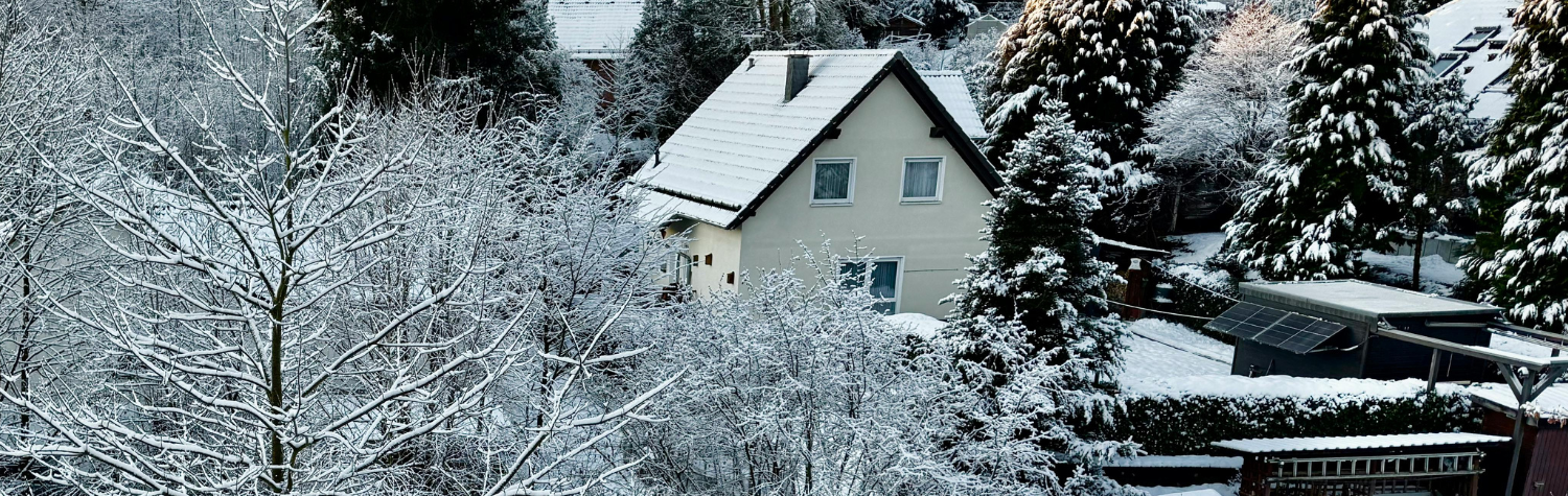 Winter Pest-Proofing Checklist: How to Keep Spiders, Cluster Flies, and Stink Bugs Out (Without Chemicals)