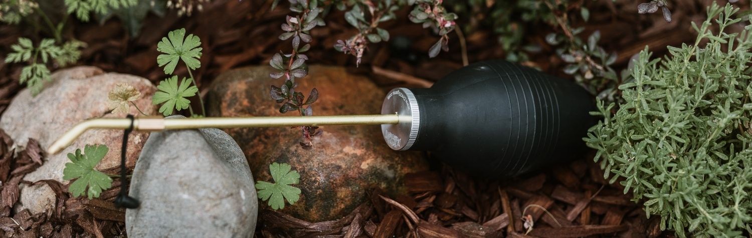 How to get rid of bugs with Diatomaceous Earth