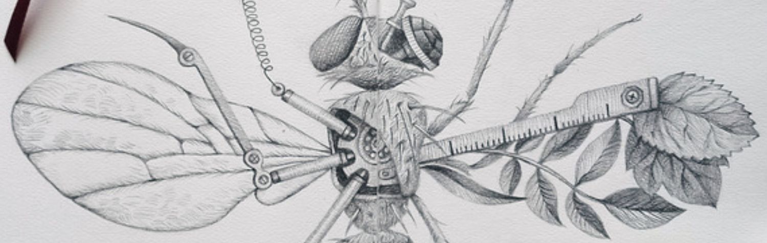 pest-control-and-mechanical-kill