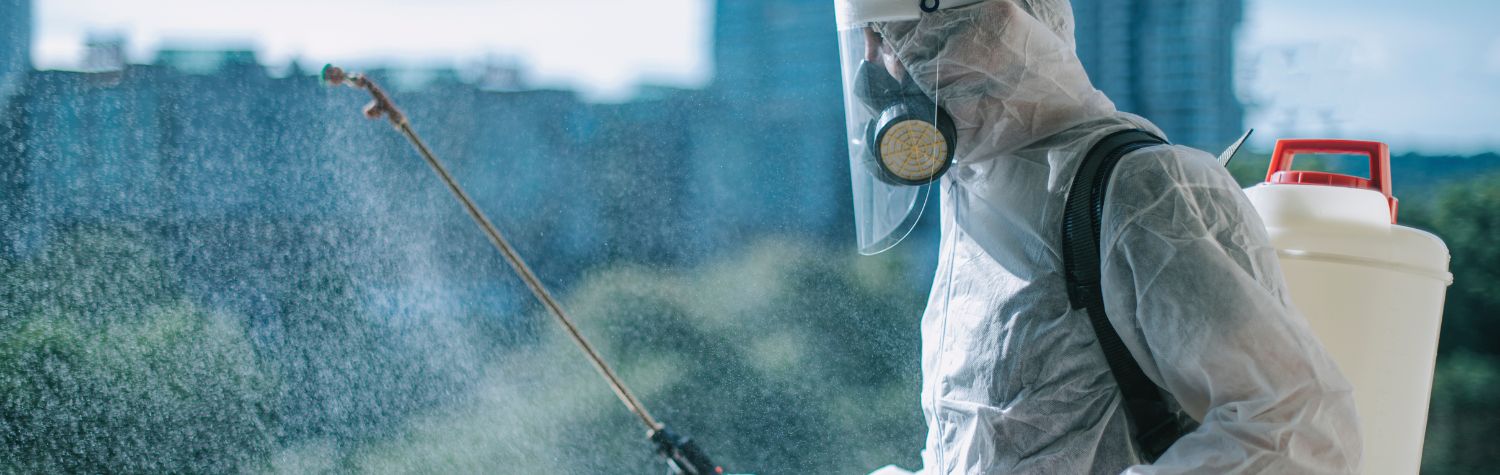 The 'best pest control' paradox: Issues with mainstream methods