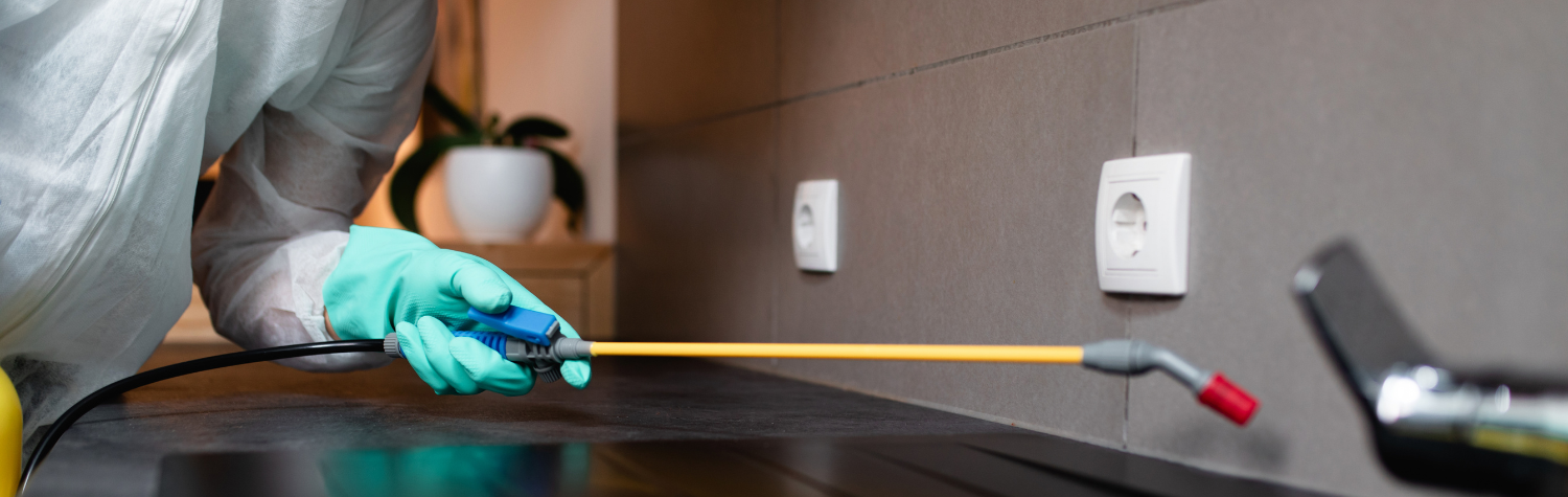 what-does-pest-control-do