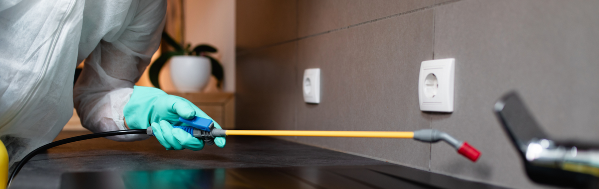 Worker in gloves spraying pesticide along a kitchen baseboard, a typical pest control treatment