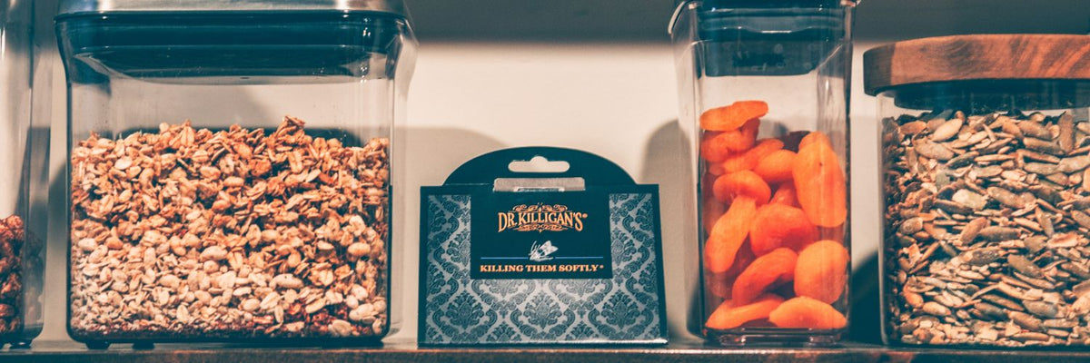 Dr. Killigan's pantry moth trap on a shelf between jars of food
