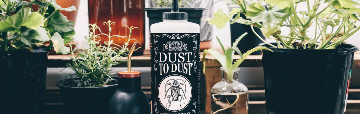 Dr. Killigan's Dust to Dust bottle among potted plants