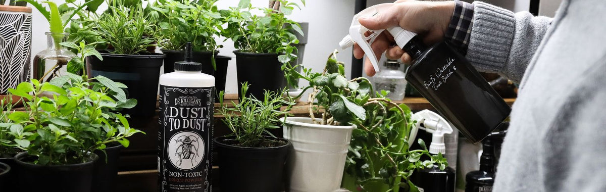 Dr. Killigan's Dust to Dust bottle among houseplants, a source of silica for plants