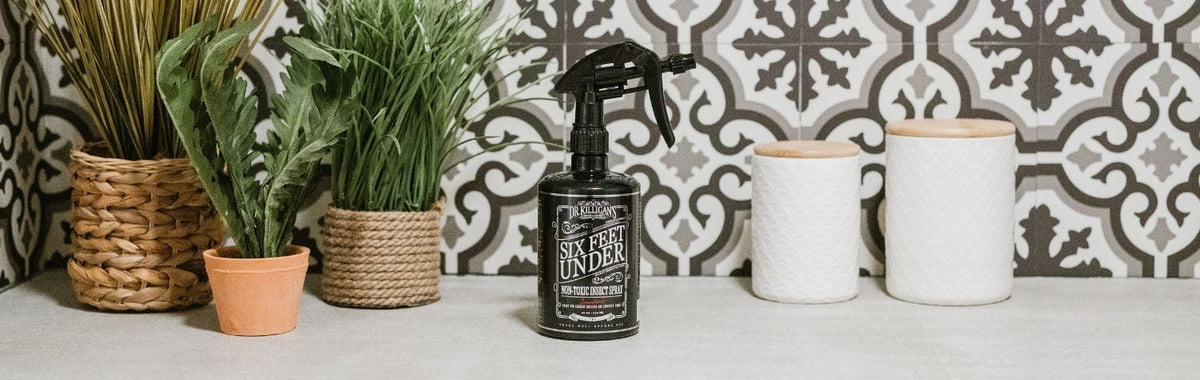 Dr. Killigan's Six Feet Under insect spray on a kitchen counter beside potted plants