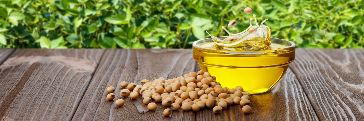 Bowl of soybean oil and soybeans on a wooden table