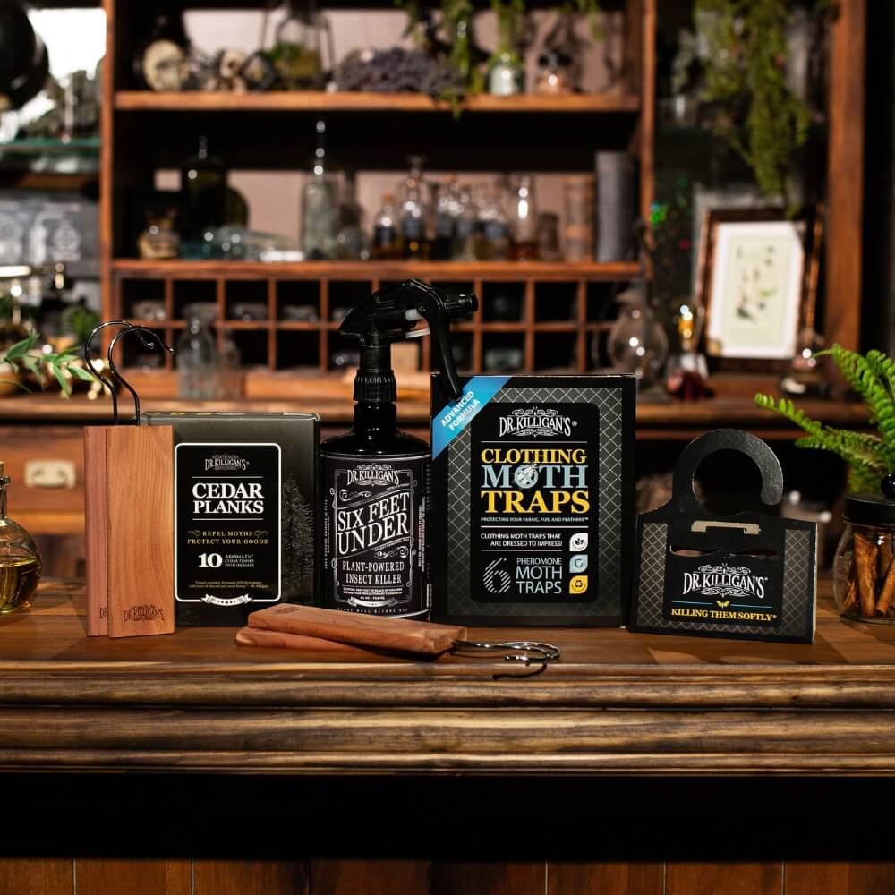 Dr. Killigan's clothing moth traps, six feet under and cedar planks on a wooden surface with a blurred background. #size_medium