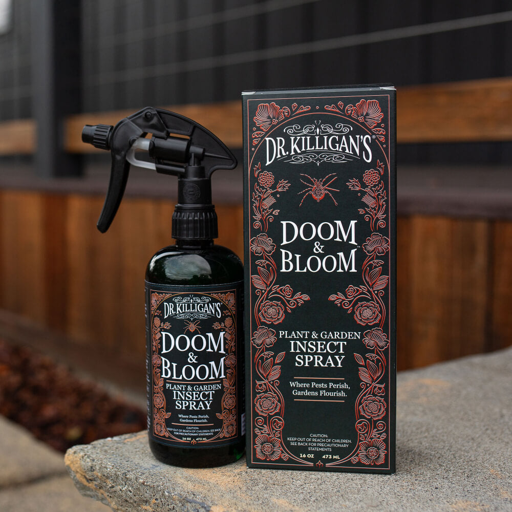Dr. Killigan's Doom & Bloom plant and garden insect spray bottle and packaging on a stone surface.