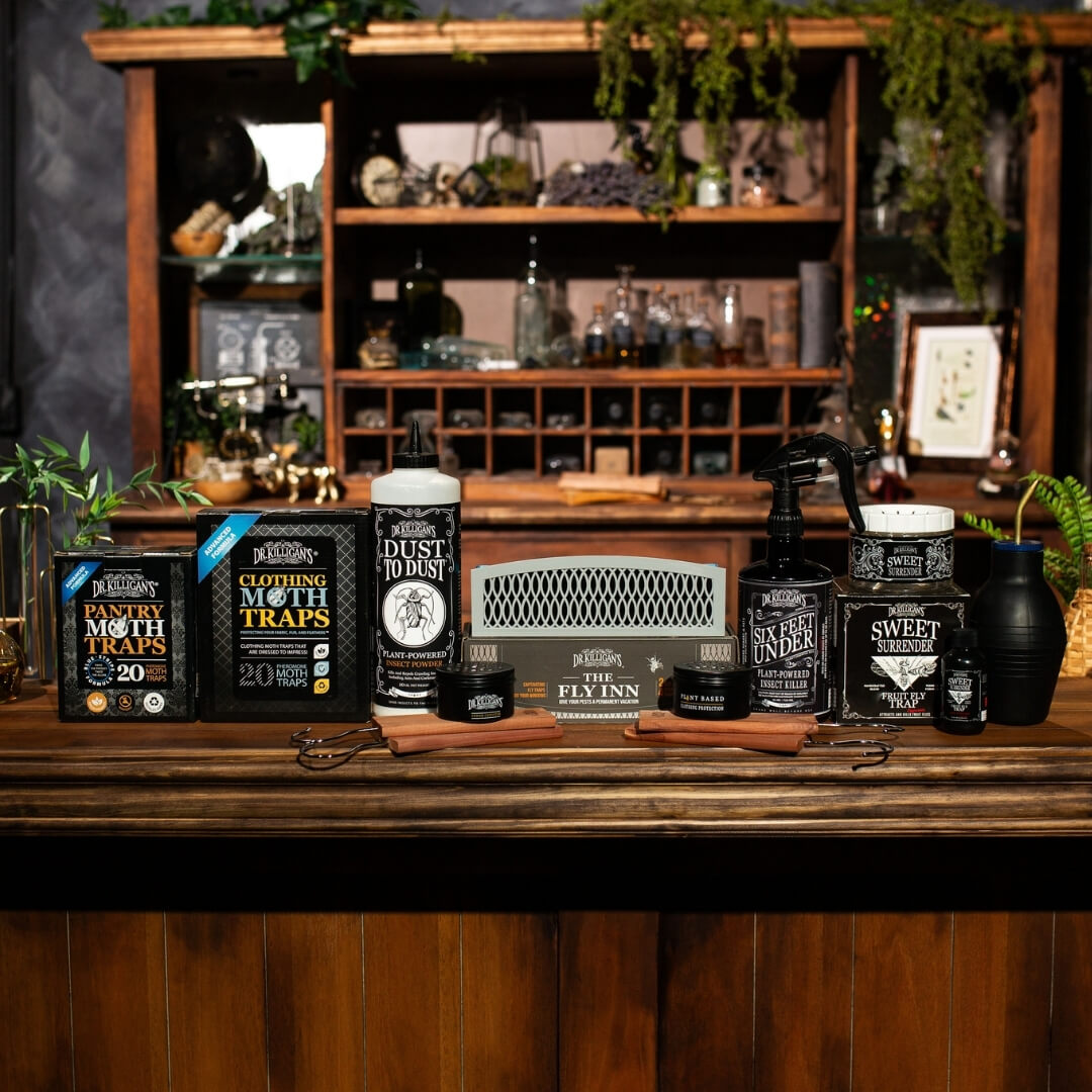Collection of fly traps and related products on a wooden surface with a blurred background