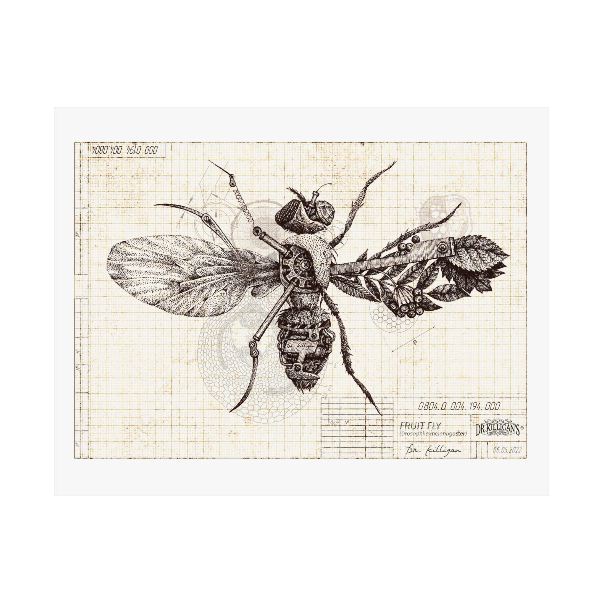 Vintage Fruit Fly Poster — Matte Horizontal Botanical Print