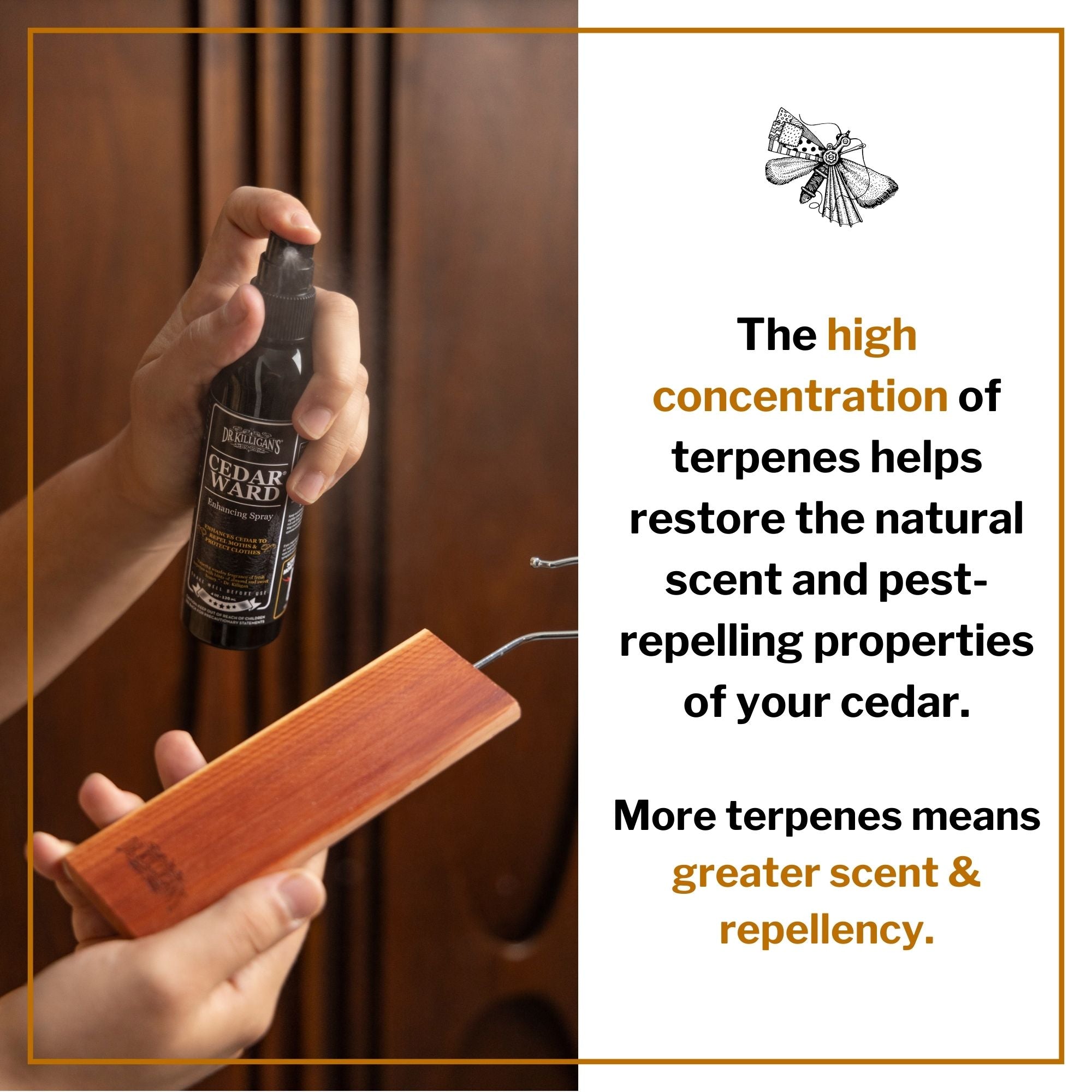 Cedar Ward Cedar-Rejuvenating Spray