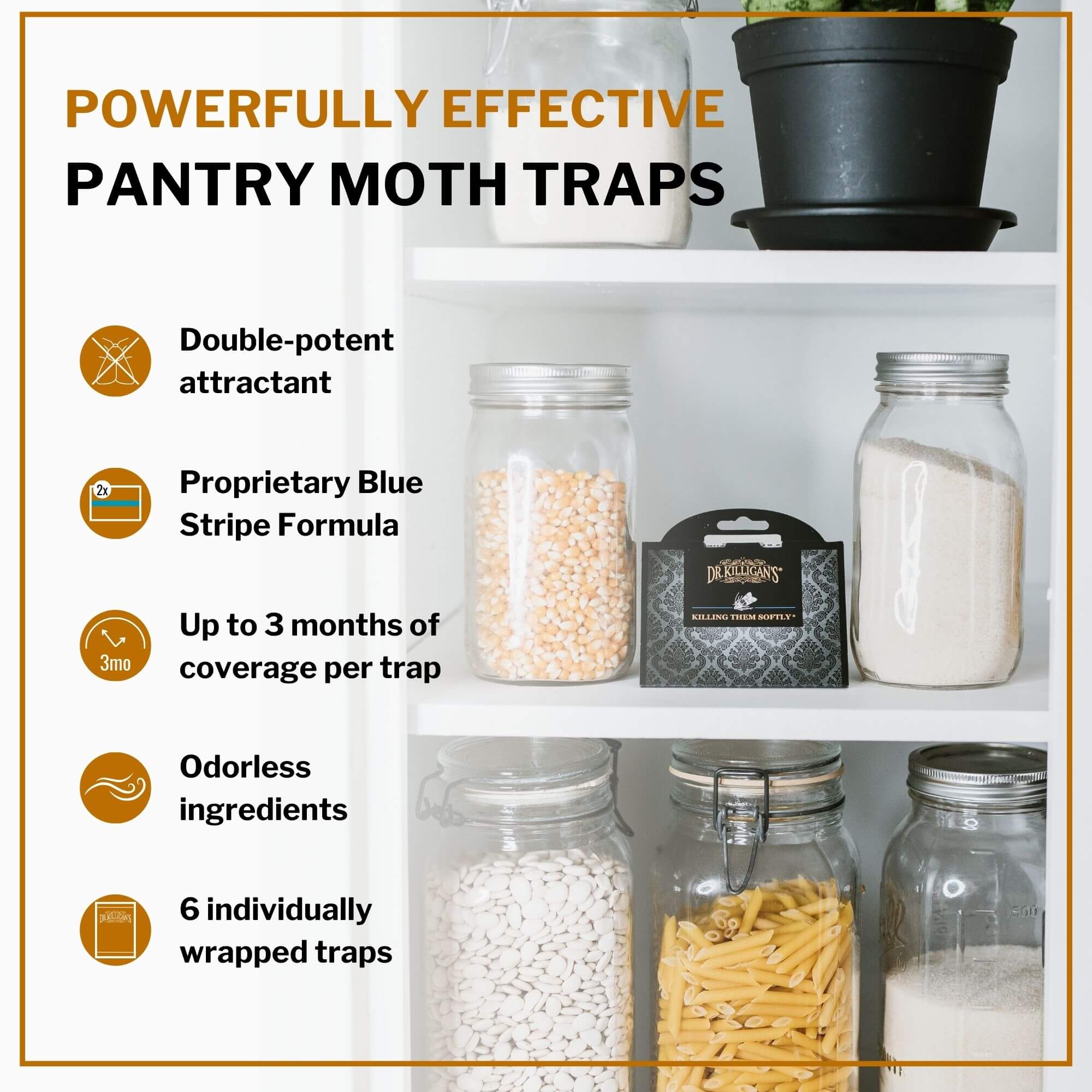 Double Potent Pantry Moth Traps Value Pack