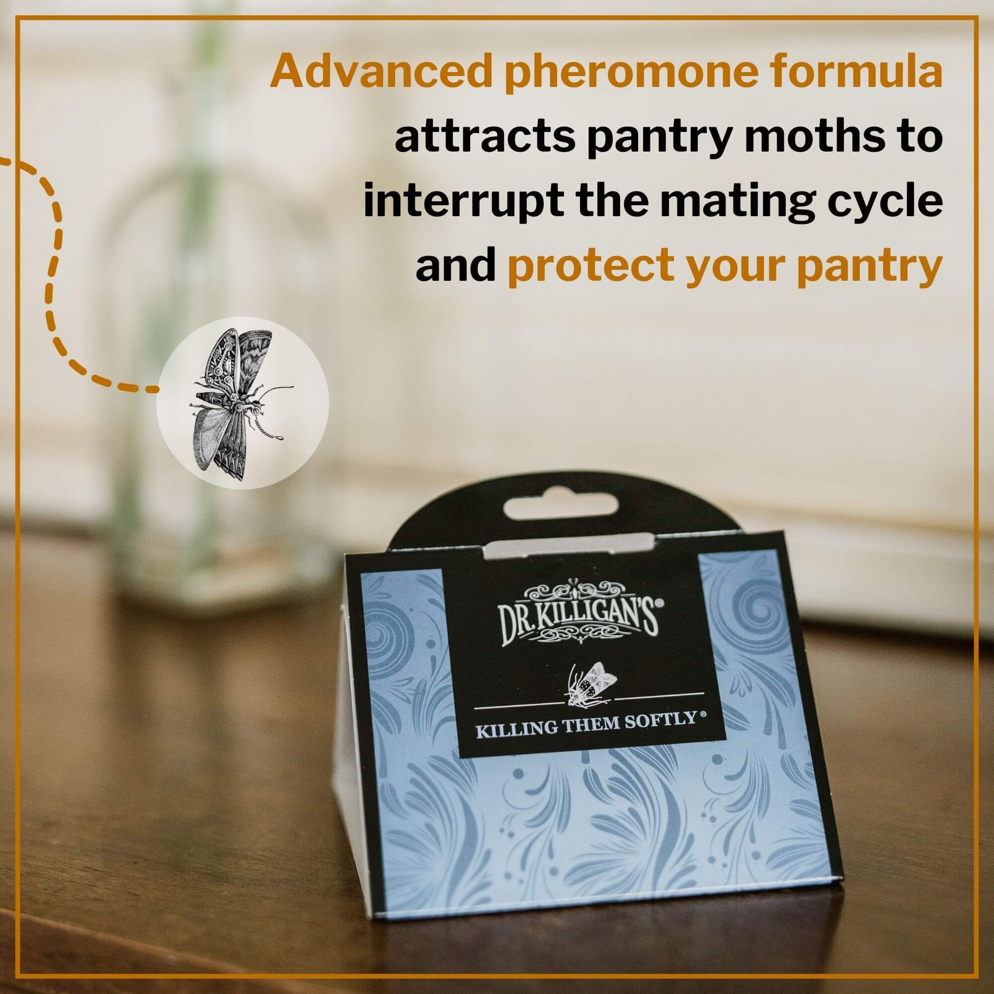 Double Potent Pantry Moth Traps Value Pack
