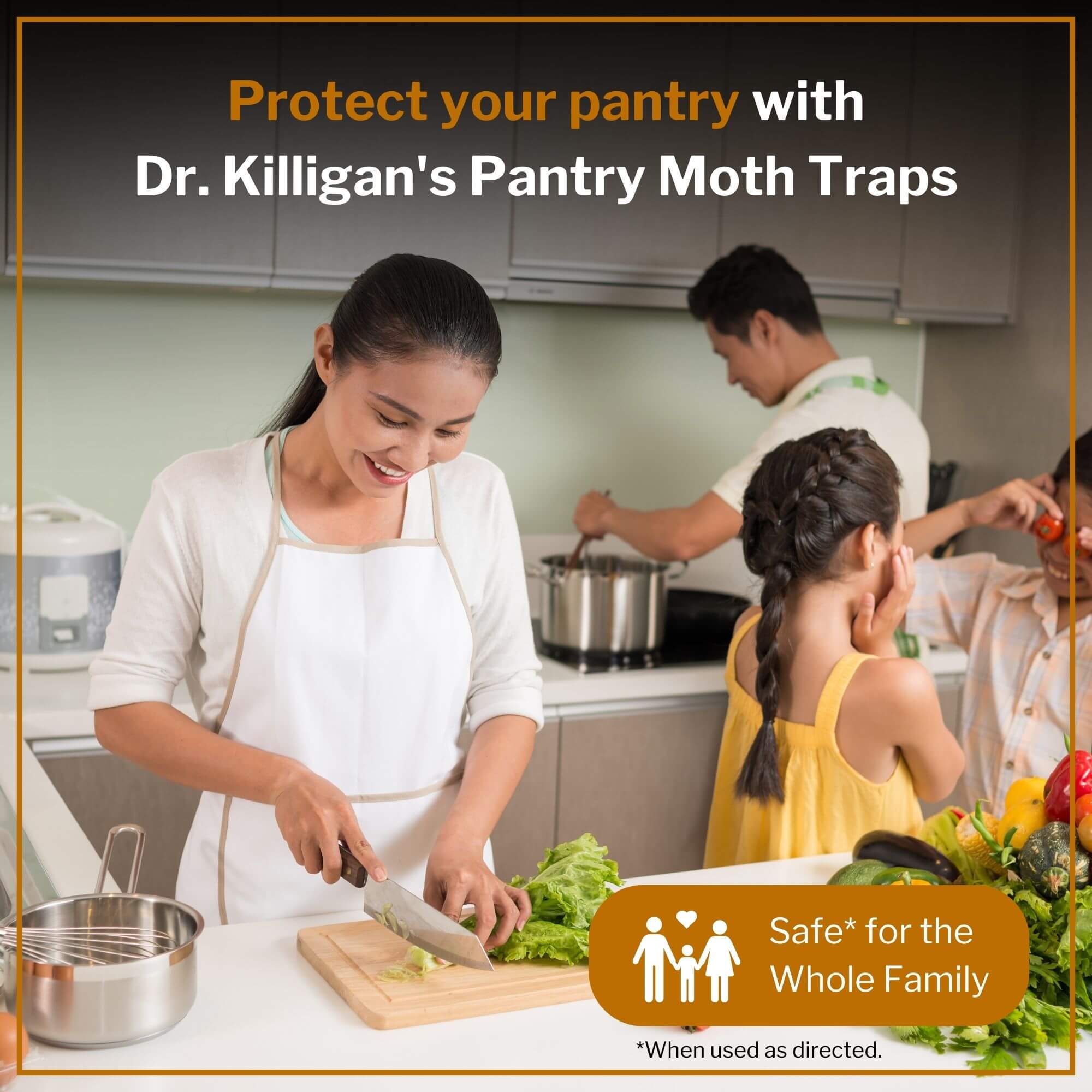 Double Potent Pantry Moth Traps Value Pack