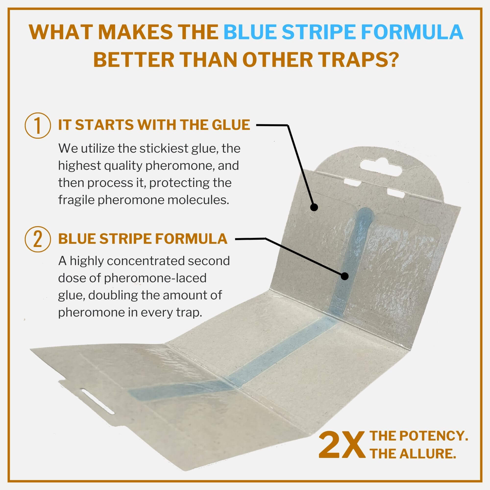 Double Potent Pantry Moth Traps