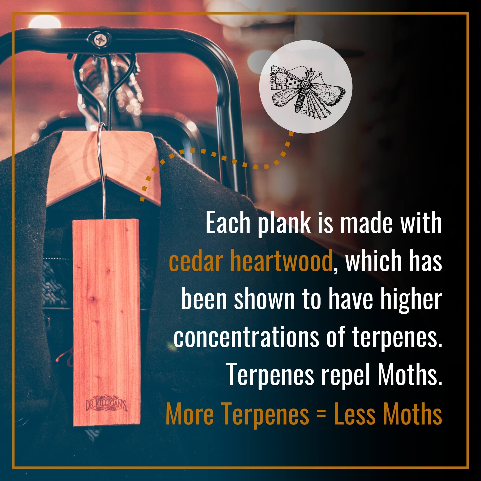 Wooden plank with text about cedar heartwood and moth repellent properties, with a blurred background.