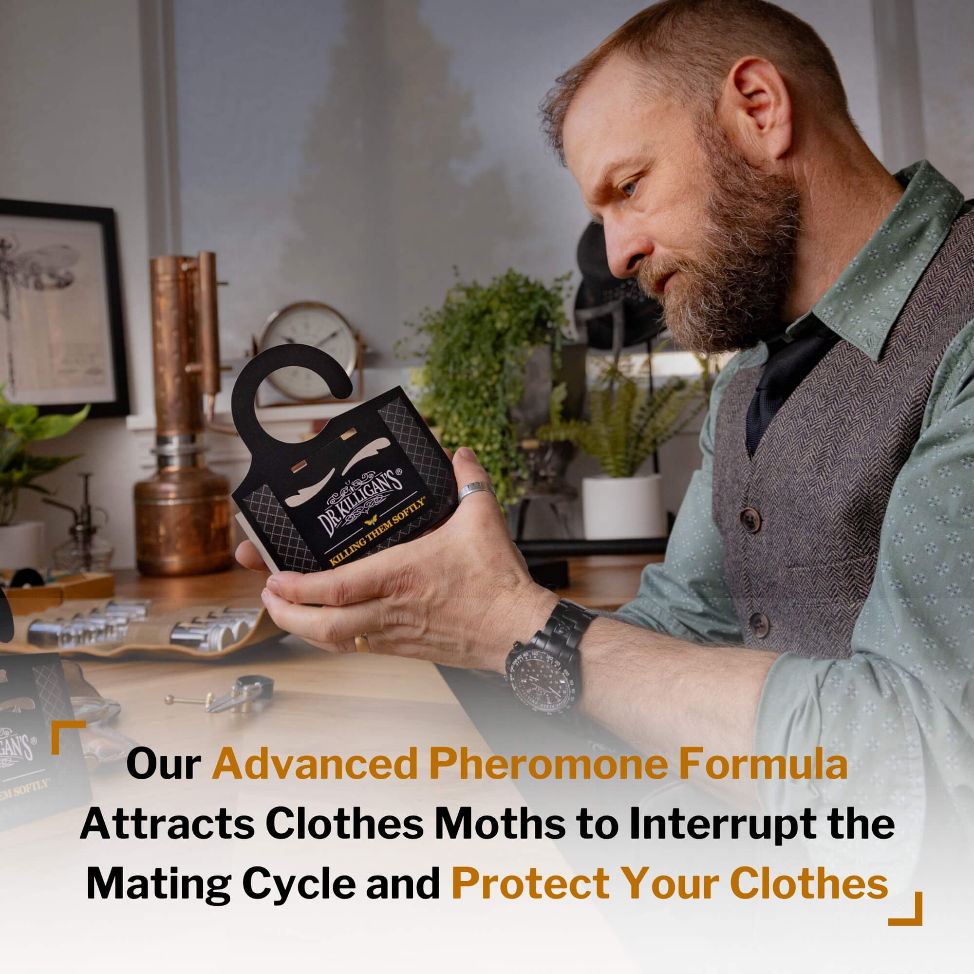 Advanced formula of Dr. Killigan's black clothing moth traps, box of 20