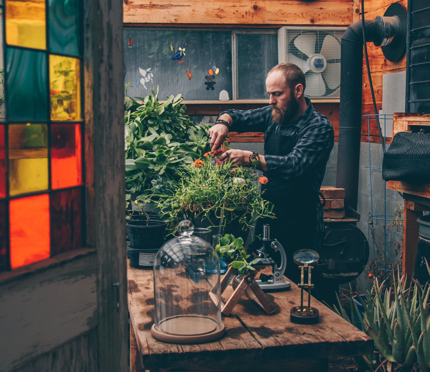 Dr. Killigan working with plants in his lab