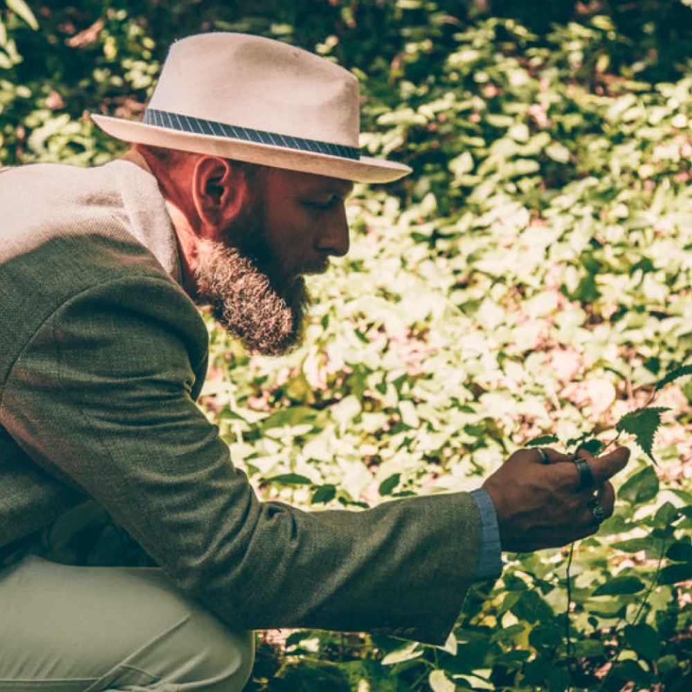Dr. Killigan in the woods examining a plant