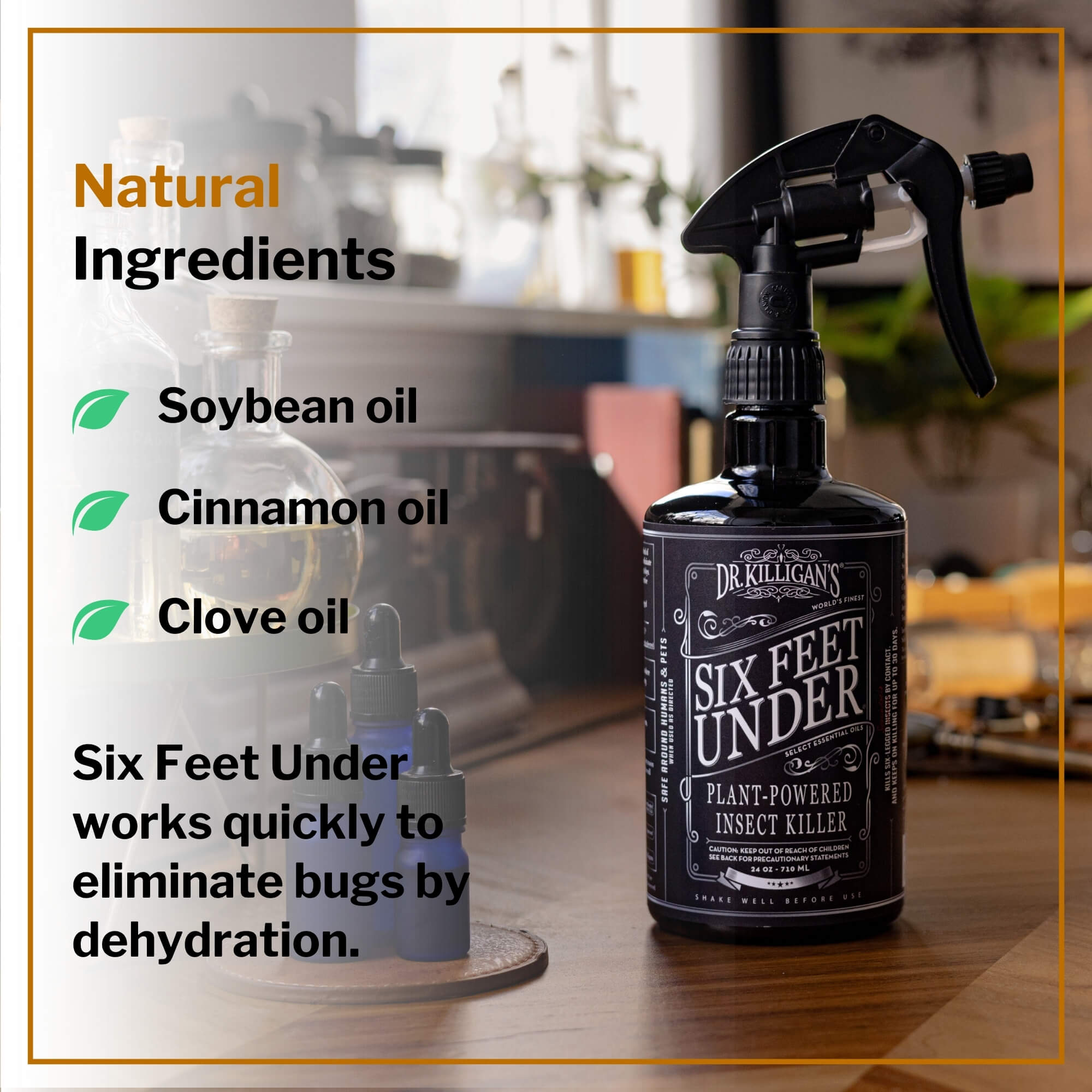 Six Feet Under: Indoor Insect Spray
