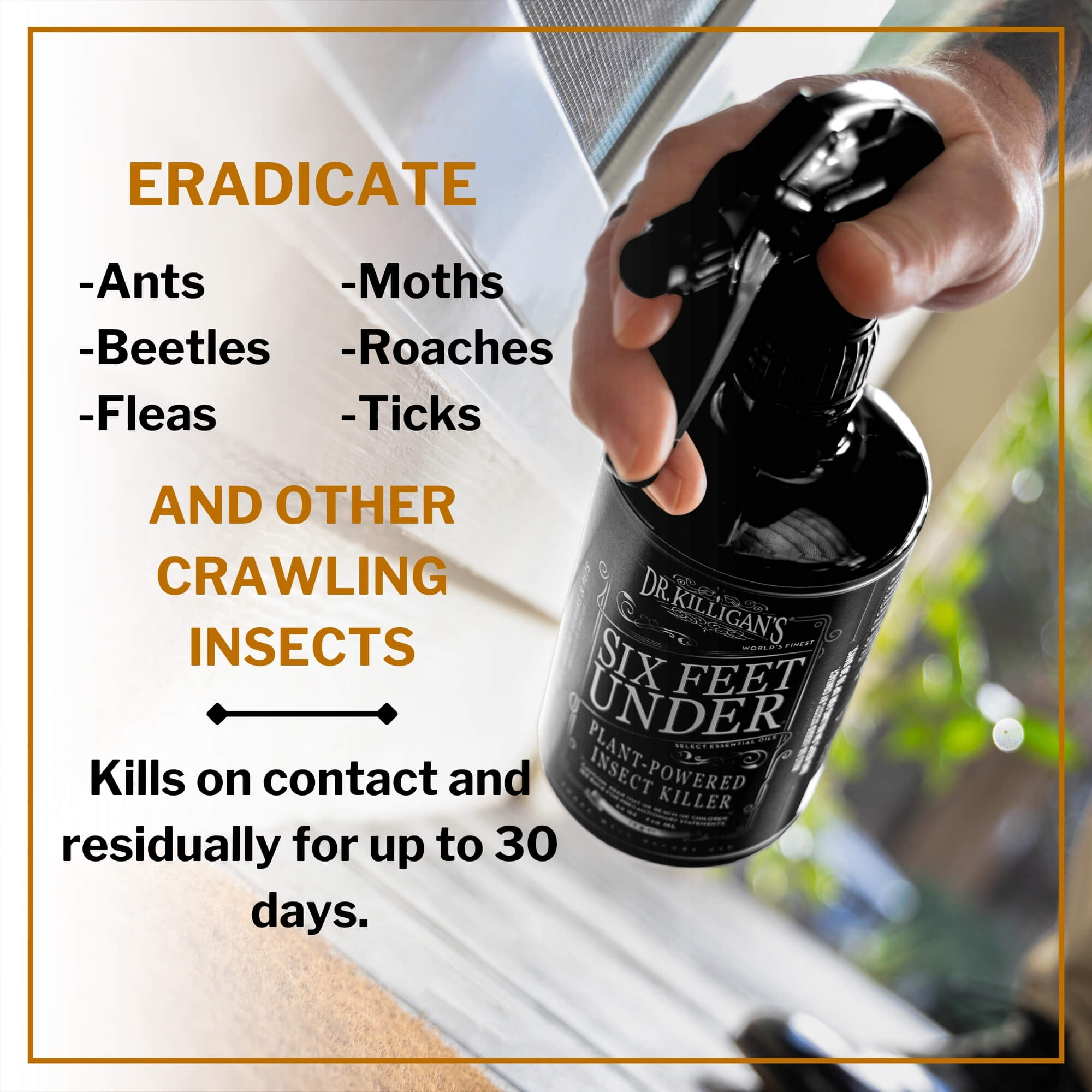 Dr. Killigan's Six feet under insect spray target insects