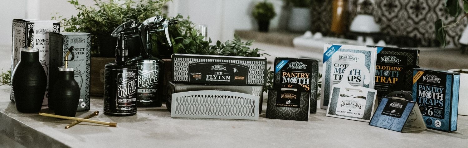What Are the Best Non-Toxic Pest Control Solutions - Dr. Killigan's