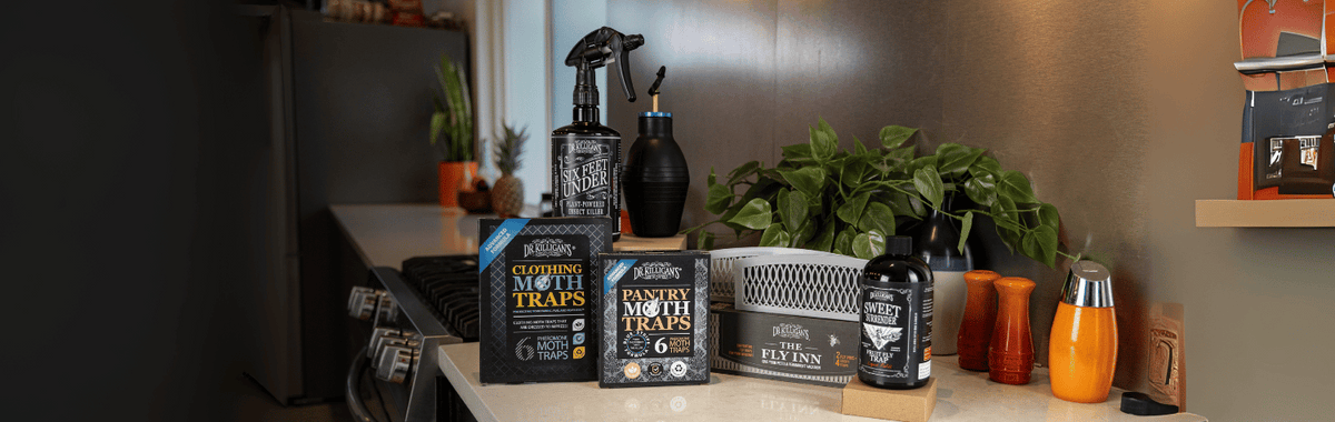 Dr. Killigan's Premium Pantry Moth Traps, 6 Count, Non-Toxic, Pheromones For Meal Moths - Foto 5