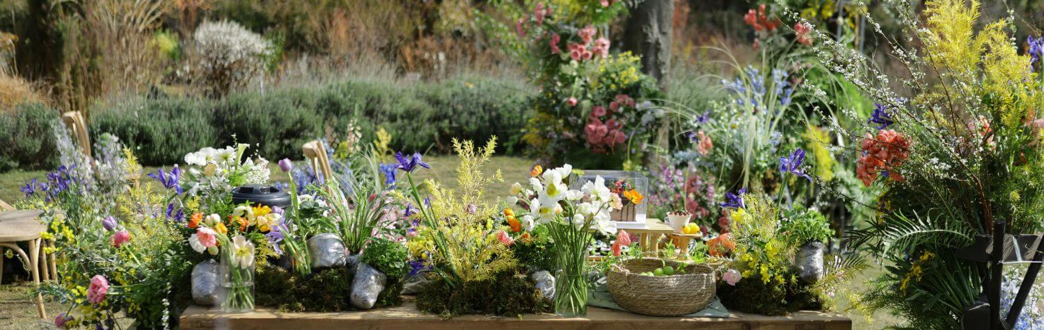 Garden flora