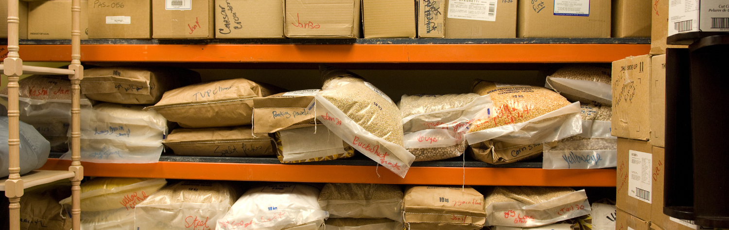 Indian Meal Moths in Garage Storage: How to Protect Stored Food and Household Supplies
