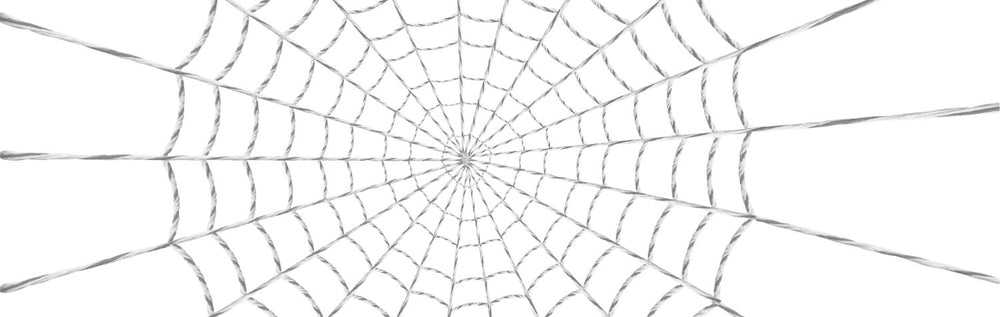 Web of spider