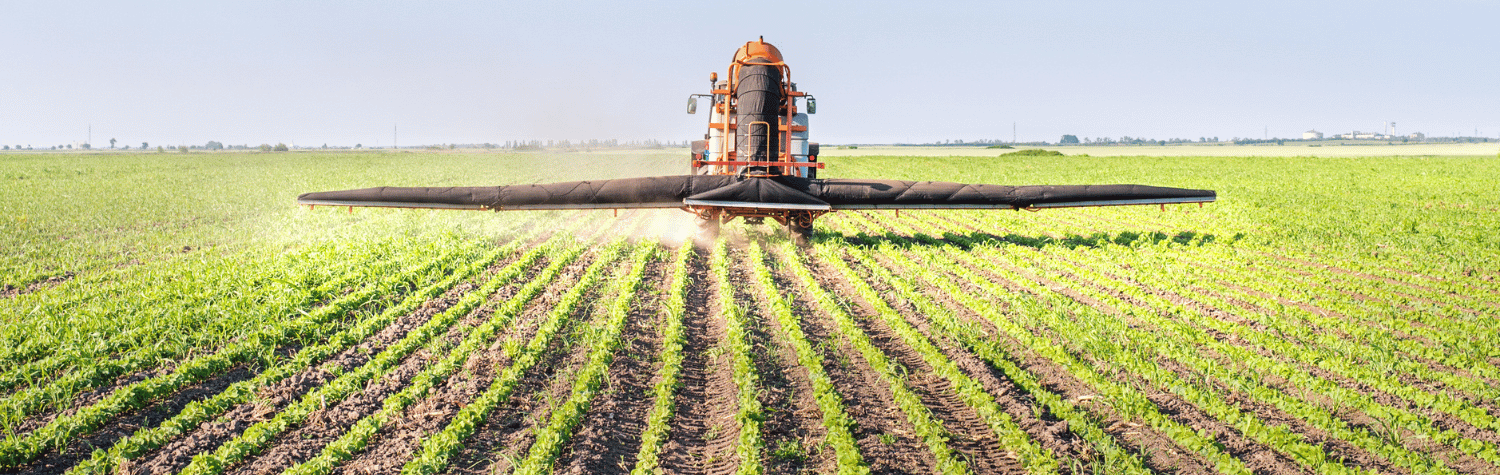 Spraying pesticide