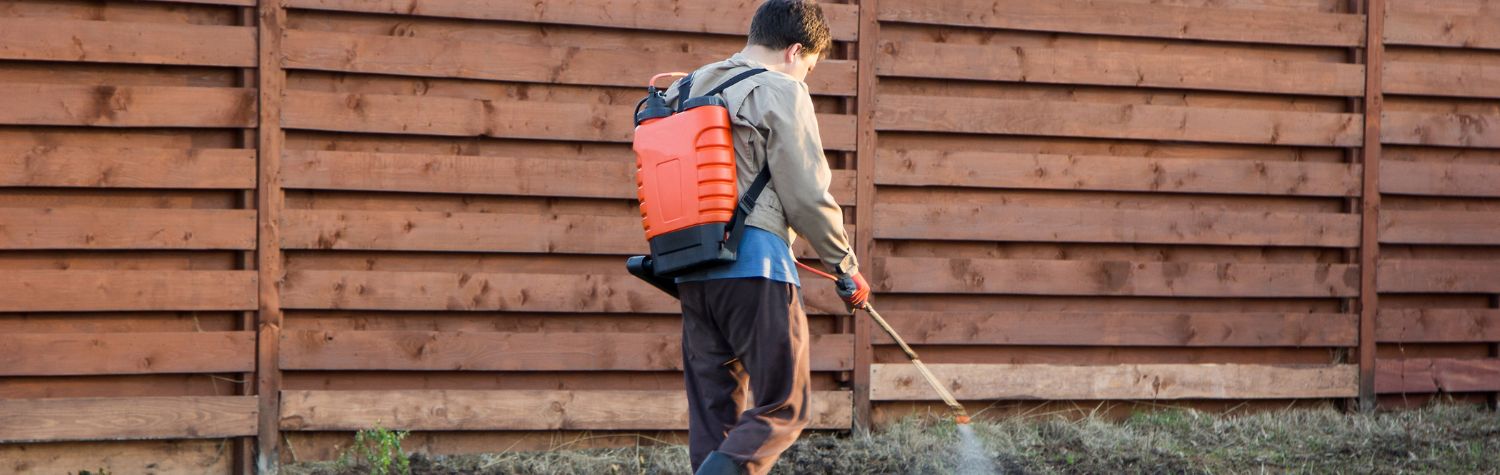 Man spraying yard with chemicals 