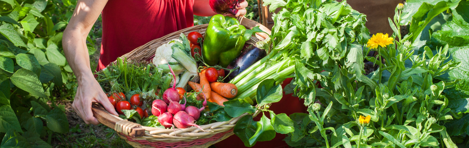 Glyphosate in yards and food: what it is and where it shows up