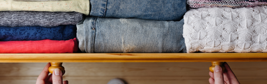Where do clothing moths live?